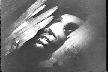 Max Schreck as Count Orlock